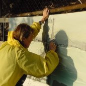 Michelle-Auboiron-Bridges-of-Fame-peinture-live-New-York-San-Francisco-2003--43 thumbnail