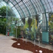 Michelle-Auboiron-expositions-Serres-d-Auteuil-Paris-2004--11 thumbnail