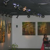 Michelle-Auboiron-expositions-Serres-d-Auteuil-Paris-2004--6 thumbnail