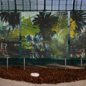 Michelle-Auboiron-expositions-Serres-d-Auteuil-Paris-2004--9 thumbnail