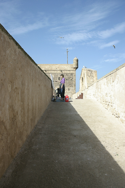 michelle-auboiron-peintre-en-action-sud-marocain--30
