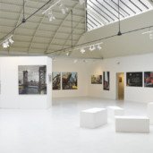 Exposition-Chicago-Express-Peintures-de-Michelle-AUBOIRON-Espace-Commines-Paris-2015-27 thumbnail