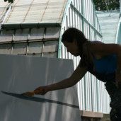 Michelle-Auboiron-peinture-live-aux-serres-d-auteuil-Paris-2004--6 thumbnail