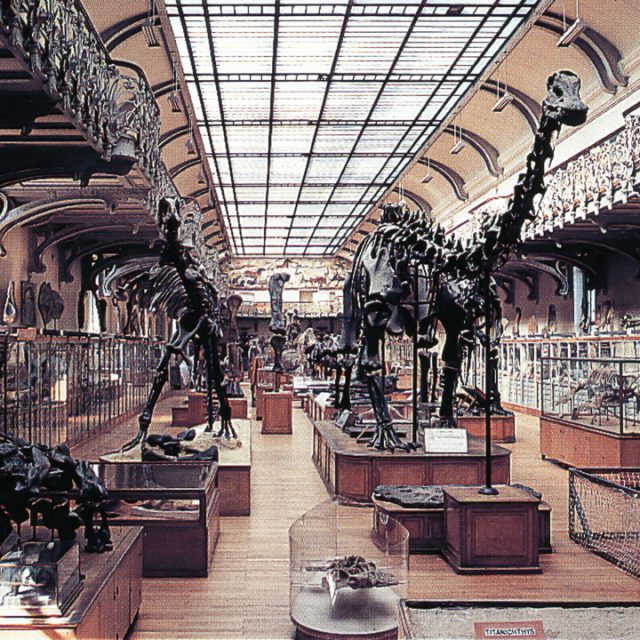 La grande Galerie de Paléontologie du Muséum d'hisoire Naturelle du Jardin des Plantes de Paris
