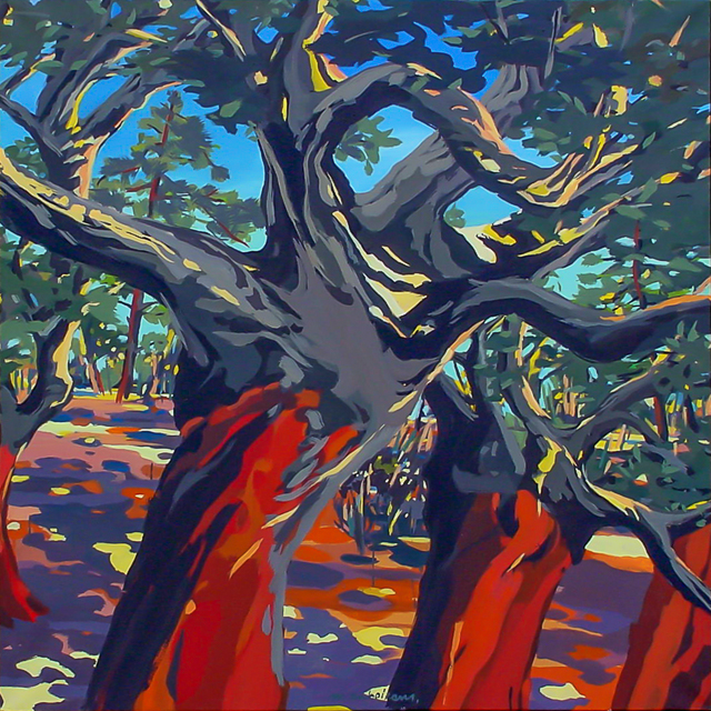 3 chênes-liège de Cala Rossa - Peinture de Corse de Michelle Auboiron