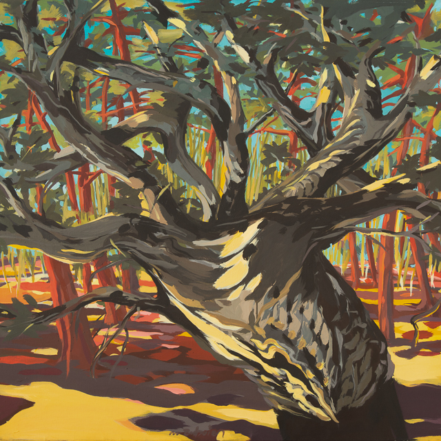 Chêne-liège à Cala Rossa - Peinture de Corse de Michelle Auboiron