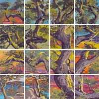 16-branches-installation-200x200