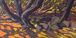 24-souches-75x150