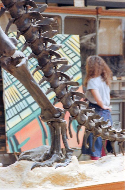 Michelle Auboiron peint le dinosaure dans la grande Galerie de Paléontologie du Muséum d'hisoire Naturelle du Jardin des Plantes de Paris