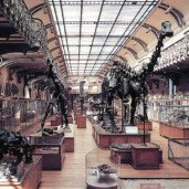 galerie thumbnail