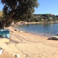 Michelle-AUBOIRON-En-Corse-peinture-live-2016-2 thumbnail
